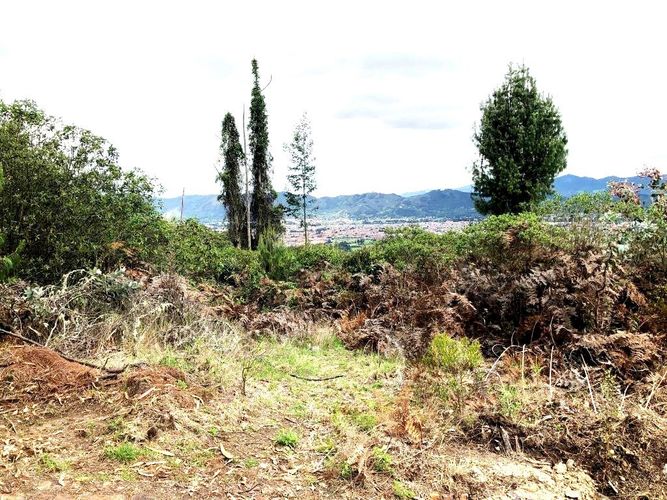 Lote en venta en Yerbabuena, Chía, 10000 m² · foto 13 de 20