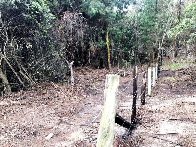 Lote en venta en Yerbabuena, Chía, 10000 m² · foto 15 de 20