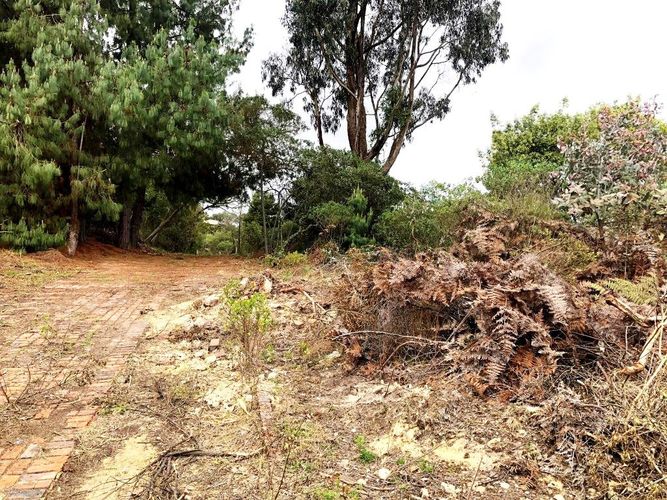 Lote en venta en Yerbabuena, Chía, 10000 m² · foto 14 de 20