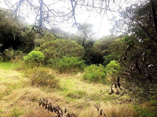 Lote en venta en Yerbabuena, Chía, 10000 m² · foto 17 de 20