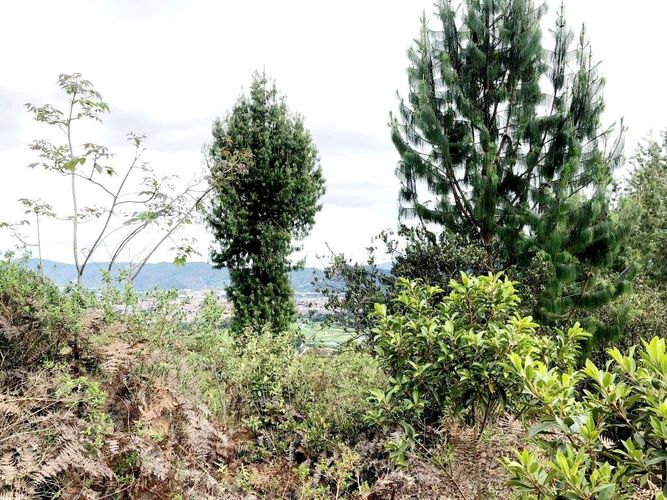 Lote en venta en Yerbabuena, Chía, 10000 m² · foto 11 de 20