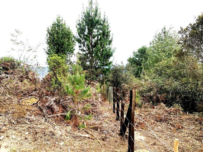 Lote en venta en Yerbabuena, Chía, 10000 m² · foto 12 de 20