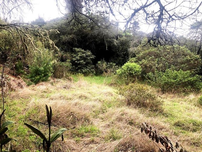 Lote en venta en Yerbabuena, Chía, 10000 m² · foto 16 de 20