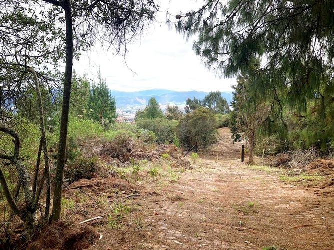 Lote en venta en Yerbabuena, Chía, 10000 m² · foto 18 de 20