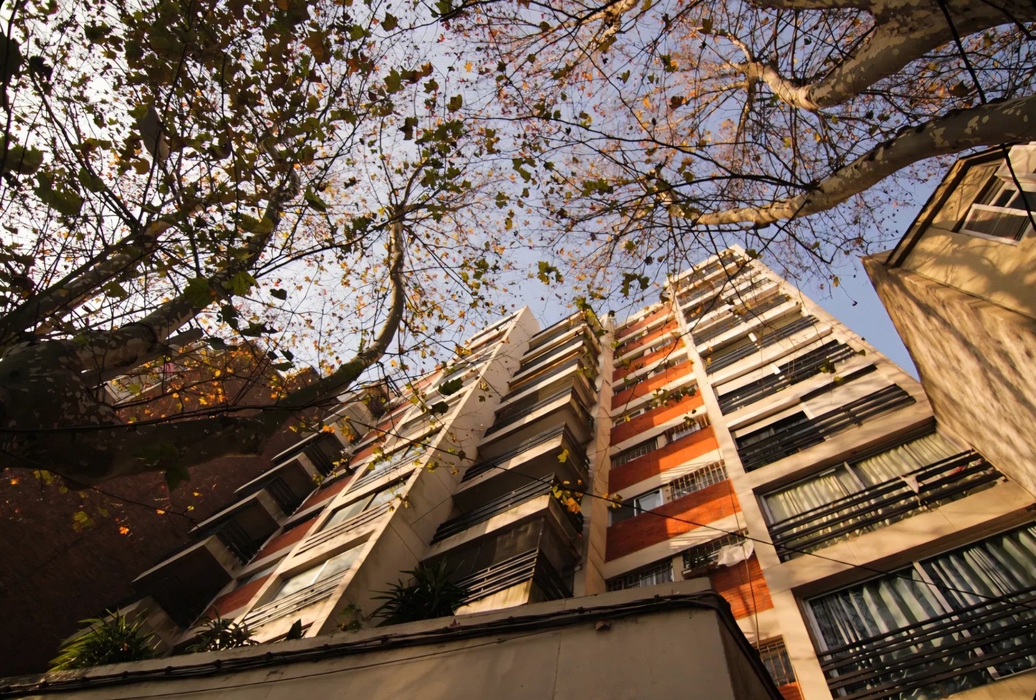 Exquisito apartamento de 2 dormitorios en alquiler, ubicación privilegiada sobre Pablo de María, a pasos de Rivera. · Foto 1