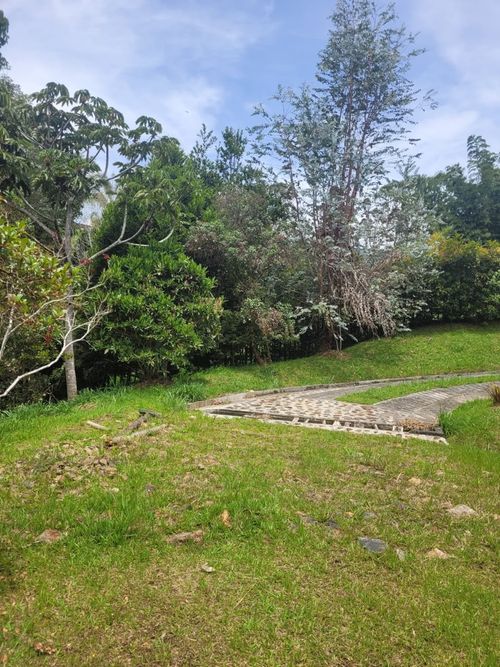 Lote en venta en Santa Ana, El Carmen de Viboral, 3900 m² · foto 7 de 15