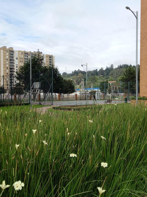 Apartamento en venta en Nueva Colina, Bogotá · foto 11 de 12