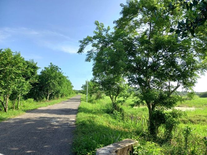 Lote en venta en La Boquilla, Cartagena, 100 m² · foto 2 de 13