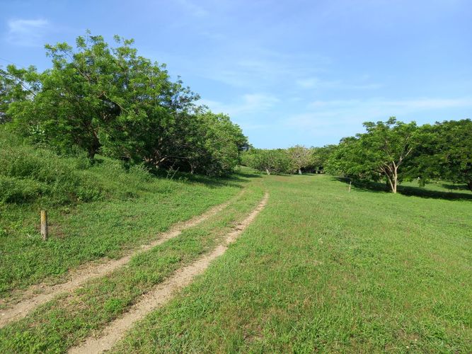 Lote en venta en La Boquilla, Cartagena, 100 m² · foto 3 de 13