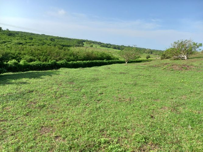 Lote en venta en La Boquilla, Cartagena, 100 m² · foto 6 de 13