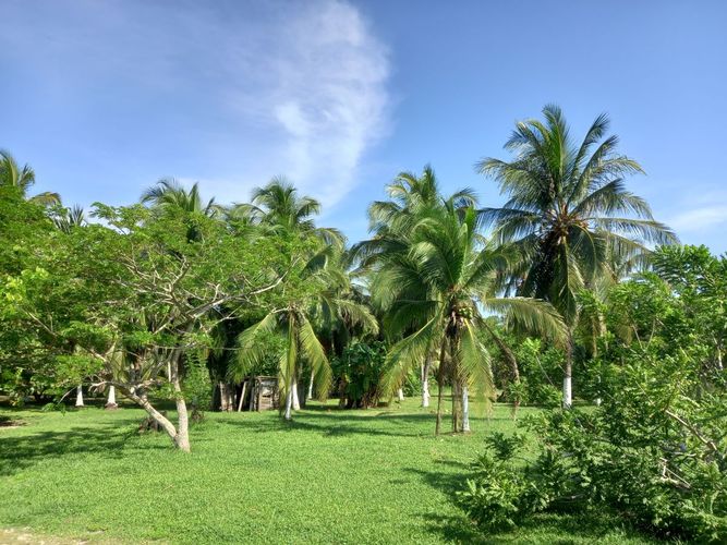 Lote en venta en La Boquilla, Cartagena, 100 m² · foto 8 de 13