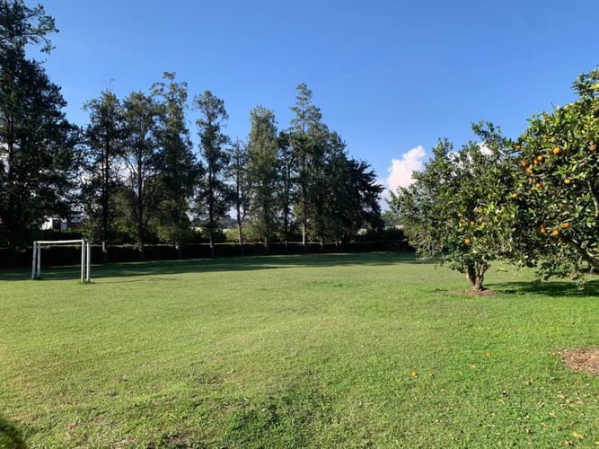 Finca en arriendo en El Cerro, El Carmen de Viboral, 240 m² · foto 7 de 22