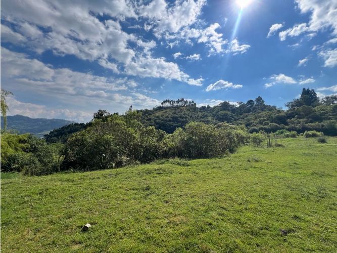 Lote en venta en Cerro De Oro, Manizales · foto 2 de 11