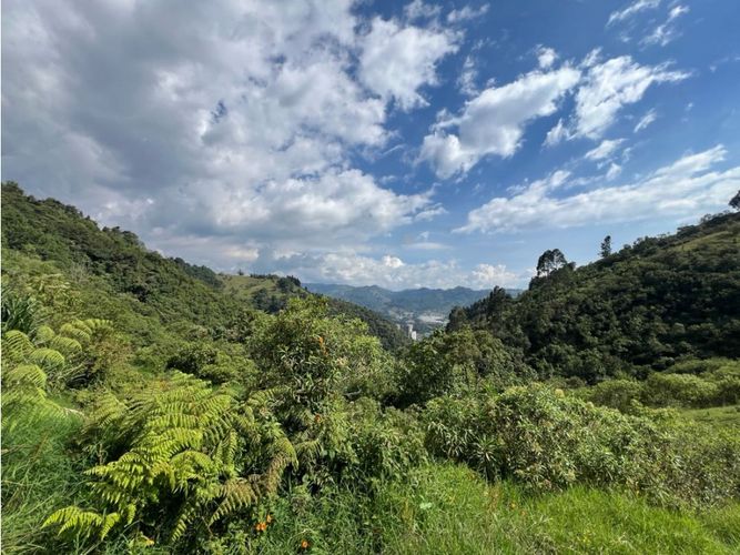 Lote en venta en Cerro De Oro, Manizales · foto 3 de 11
