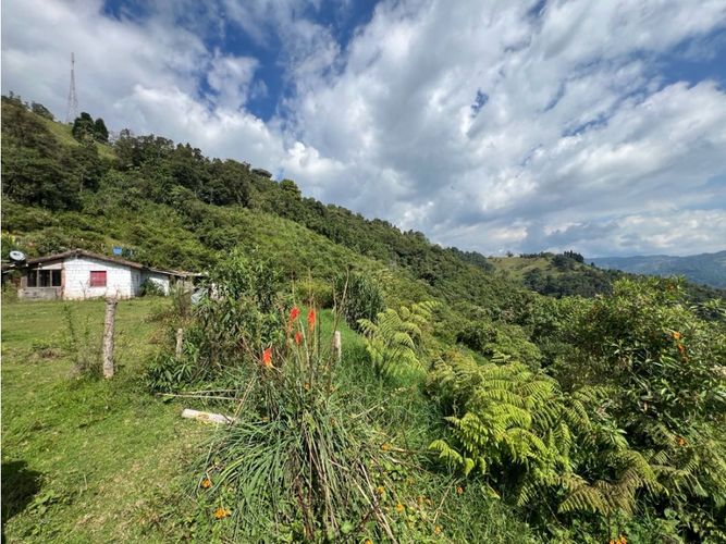 Lote en venta en Cerro De Oro, Manizales · foto 4 de 11