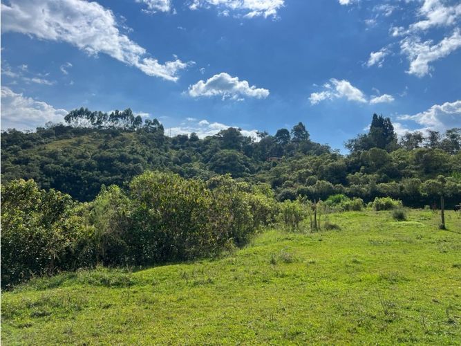 Lote en venta en Cerro De Oro, Manizales · foto 5 de 11