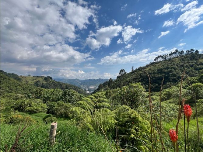 Lote en venta en Cerro De Oro, Manizales · foto 6 de 11