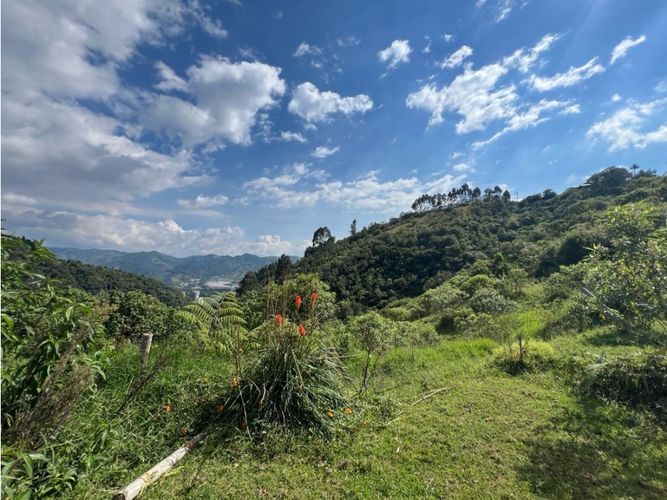 Lote en venta en Cerro De Oro, Manizales · foto 9 de 11