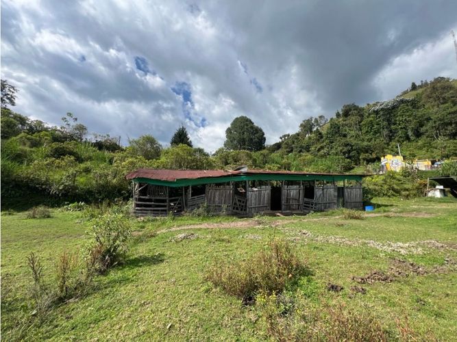 Lote en venta en Cerro De Oro, Manizales · foto 10 de 11
