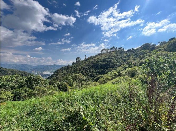 Lote en venta en Cerro De Oro, Manizales · foto 11 de 11
