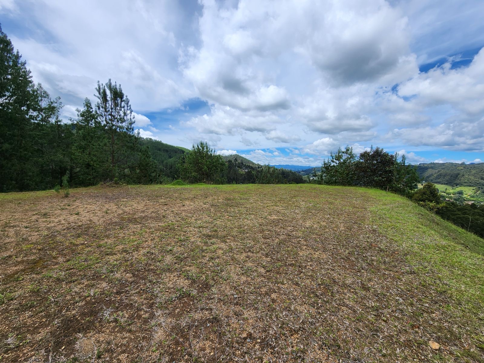 Land in Los salados for Sale - 2