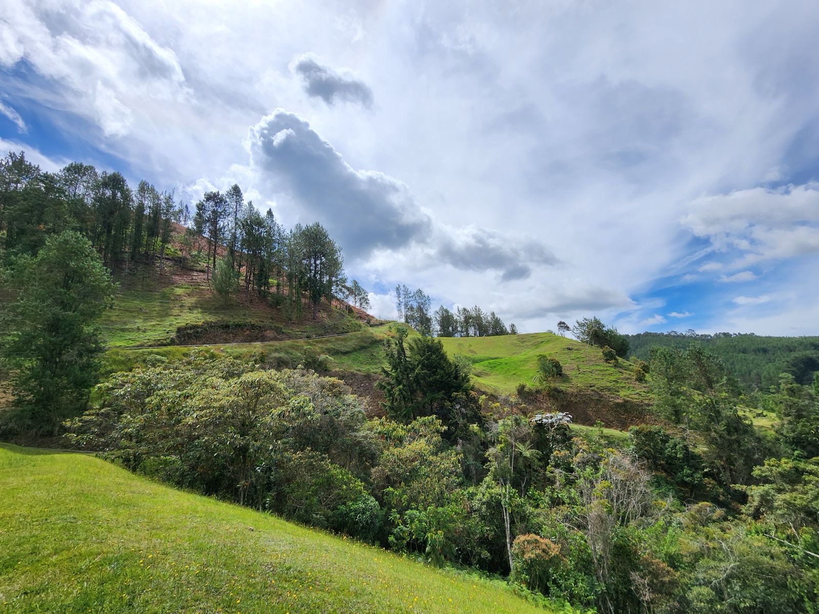 Land in Los salados for Sale - 3