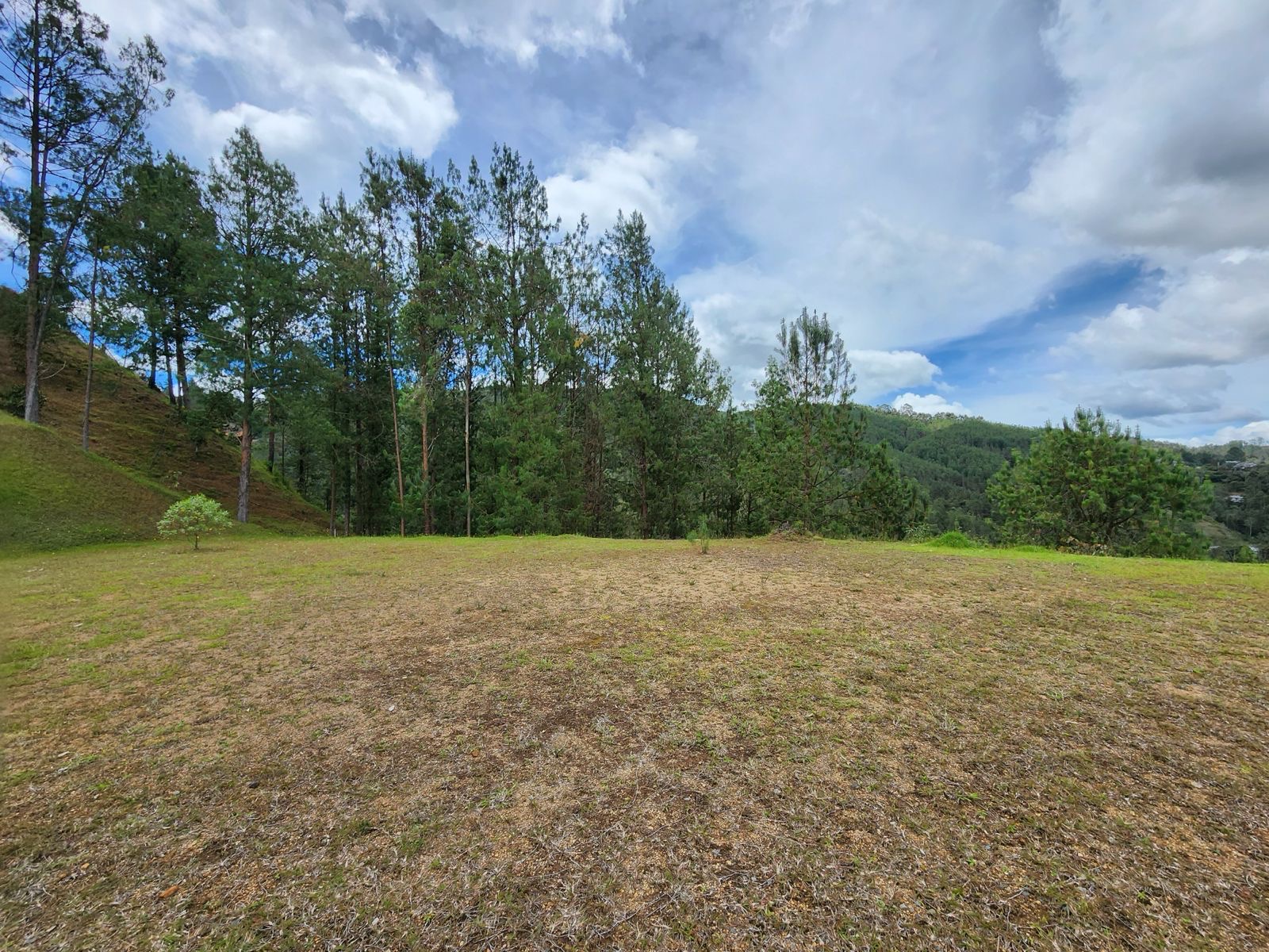 Land in Los salados for Sale - 4