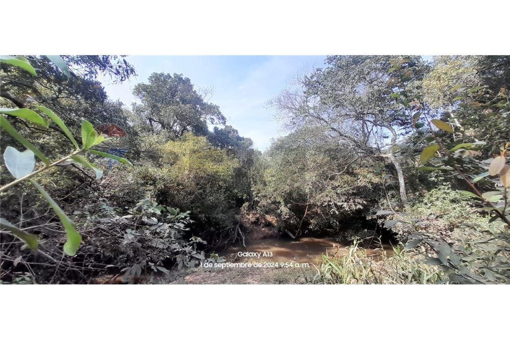 TERRENO DE 93 HECTAREAS LISTA PARA LOTEAR EN YBYCUI EN VENTA — foto 3