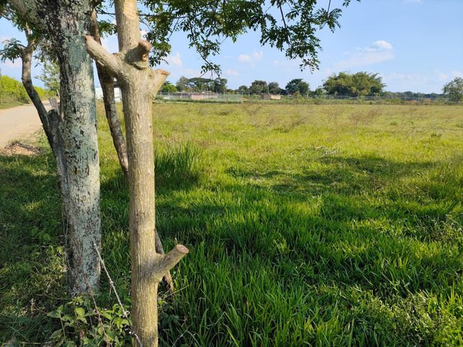 Lote en venta en Alfaguara, Jamundí, 13000 m² · foto 4 de 4