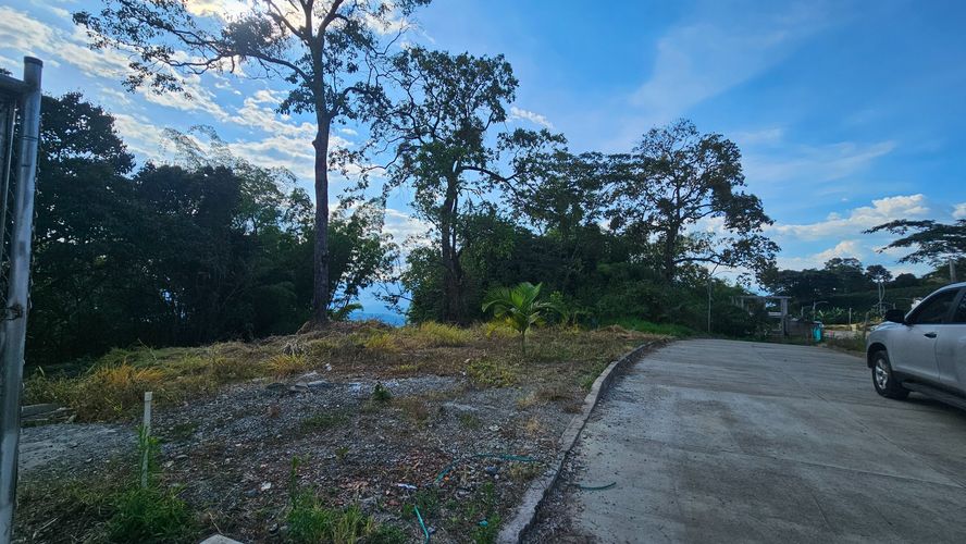 Lote en venta en La Cabaña, Manizales, 498 m² · foto 7 de 16