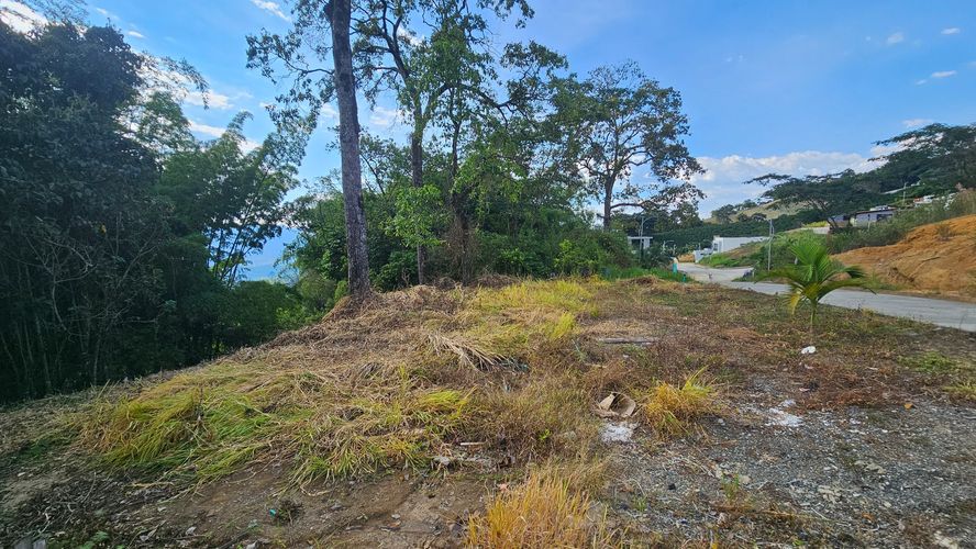 Lote en venta en La Cabaña, Manizales, 498 m² · foto 12 de 16