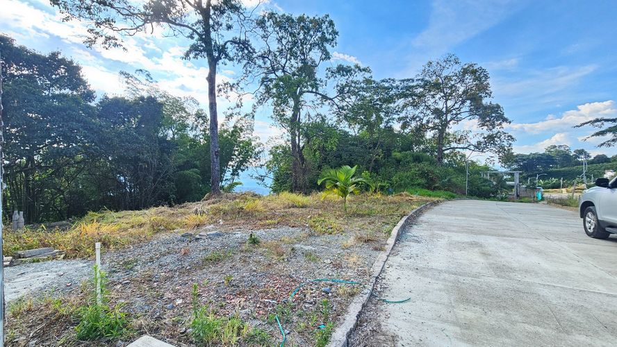 Lote en venta en La Cabaña, Manizales, 498 m² · foto 8 de 16