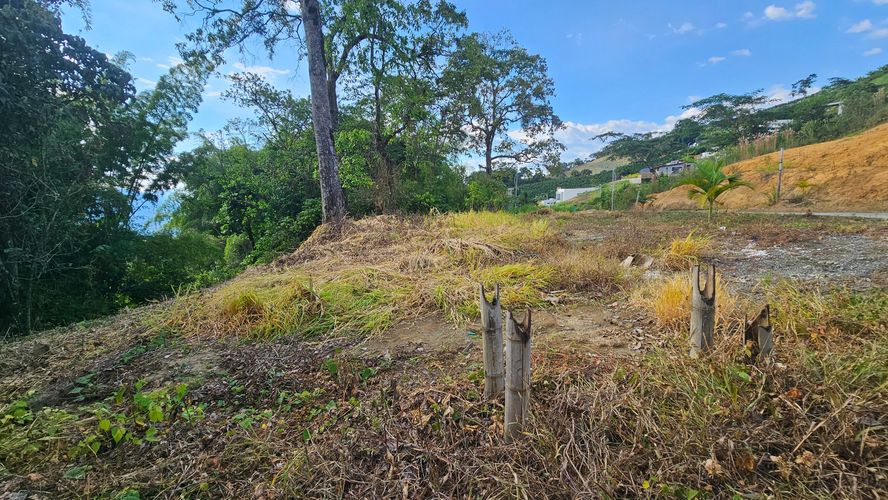 Lote en venta en La Cabaña, Manizales, 498 m² · foto 14 de 16