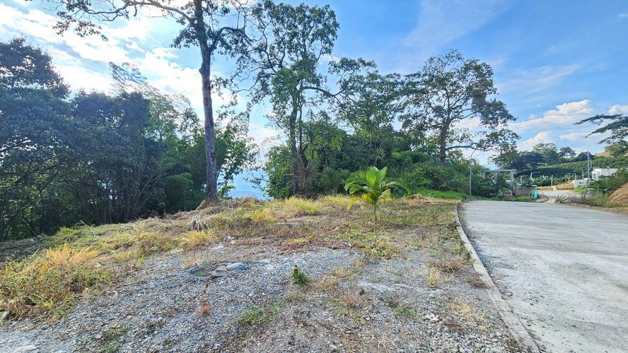Lote en venta en La Cabaña, Manizales, 498 m² · foto 13 de 16