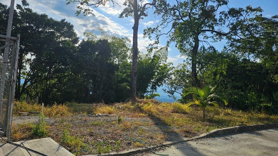 Lote en venta en La Cabaña, Manizales, 498 m² · foto 9 de 16