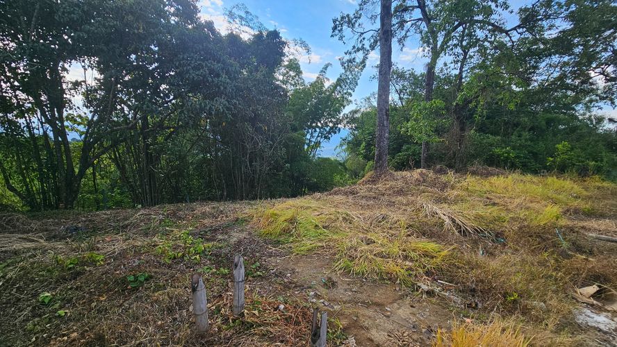 Lote en venta en La Cabaña, Manizales, 498 m² · foto 11 de 16