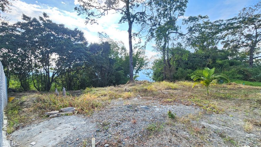 Lote en venta en La Cabaña, Manizales, 498 m² · foto 10 de 16