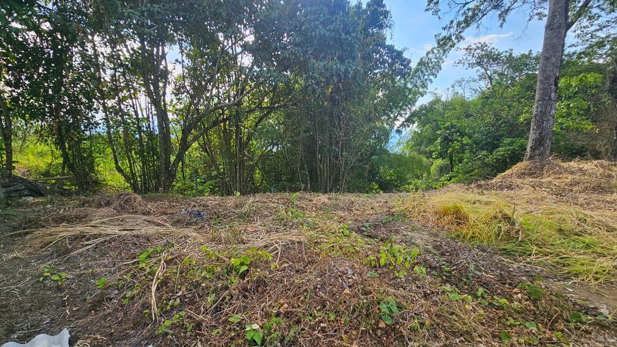 Lote en venta en La Cabaña, Manizales, 498 m² · foto 16 de 16