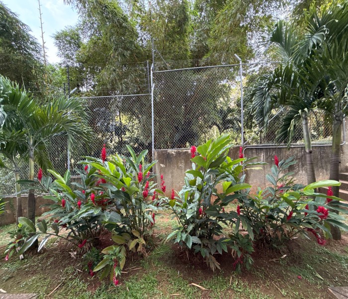 Apartamento en venta en Altos De Santa Elena, Cali · foto 8 de 24