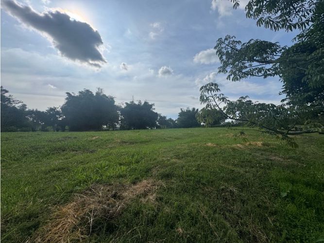 Lote en venta en Cerritos, Pereira, 2490 m² · foto 2 de 7