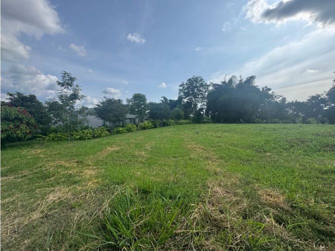 Lote en venta en Cerritos, Pereira, 2490 m² · foto 3 de 7