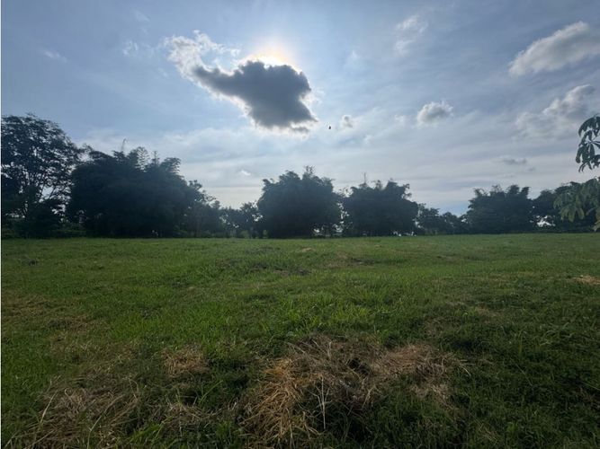 Lote en venta en Cerritos, Pereira, 2490 m² · foto 4 de 7
