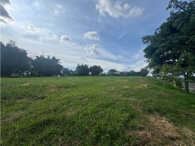 Lote en venta en Cerritos, Pereira, 2490 m² · foto 5 de 7