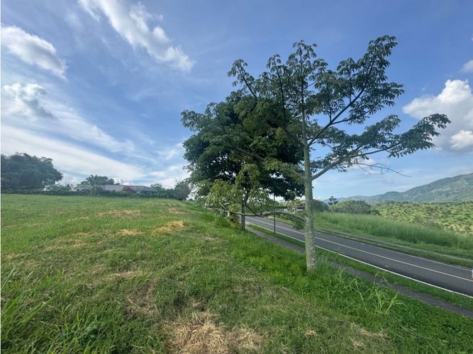 Lote en venta en Cerritos, Pereira, 2490 m² · foto 6 de 7