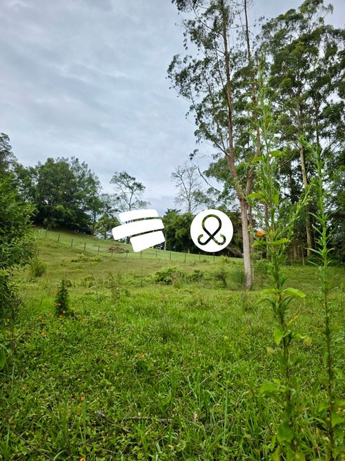Lote en venta en El Tablazo, Rionegro, 4084 m² · foto 5 de 24