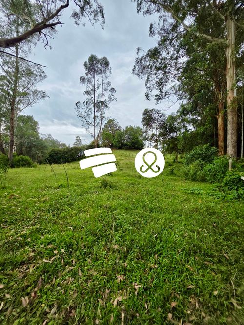 Lote en venta en El Tablazo, Rionegro, 4084 m² · foto 6 de 24