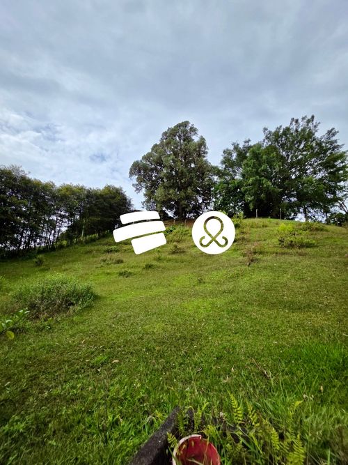 Lote en venta en El Tablazo, Rionegro, 4084 m² · foto 9 de 24
