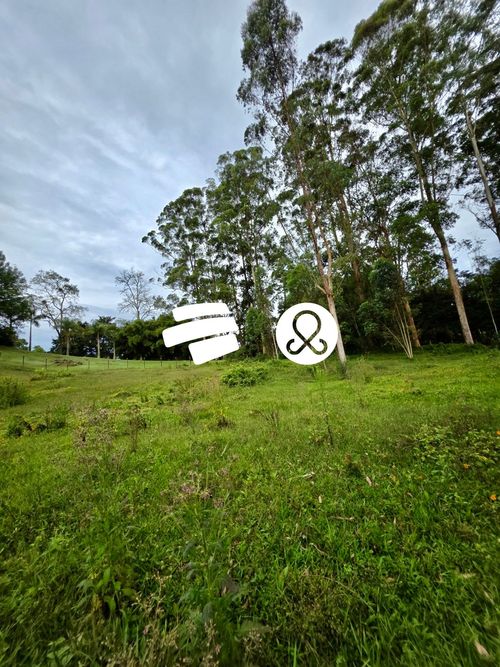 Lote en venta en El Tablazo, Rionegro, 4084 m² · foto 15 de 24
