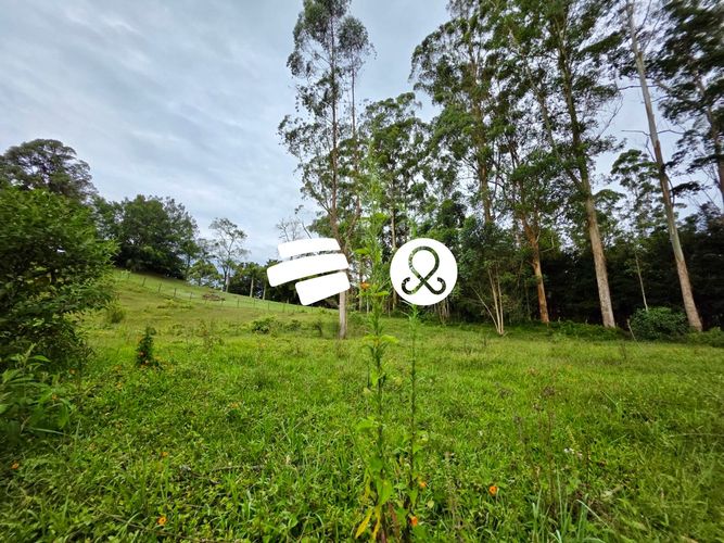 Lote en venta en El Tablazo, Rionegro, 4084 m² · foto 16 de 24