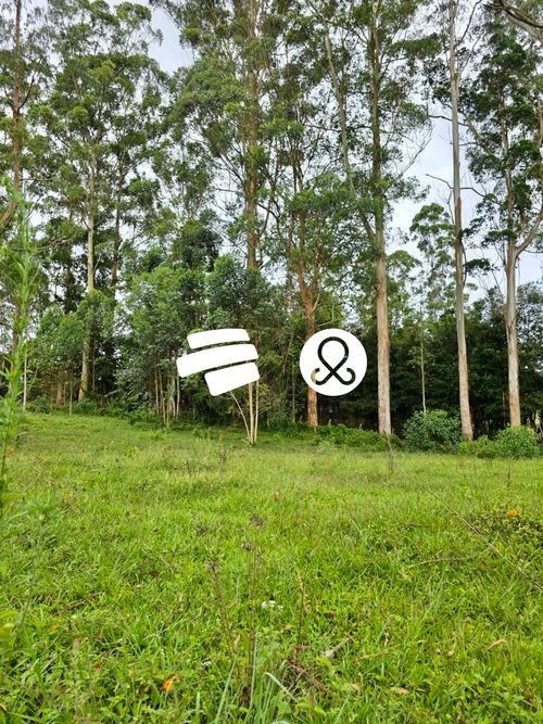 Lote en venta en El Tablazo, Rionegro, 4084 m² · foto 22 de 24